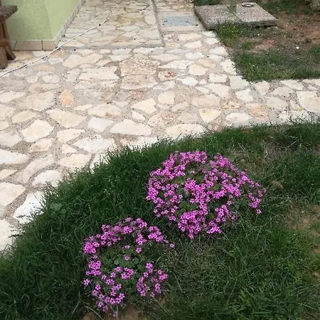 Sabljak-nerezine Mali Lošinj